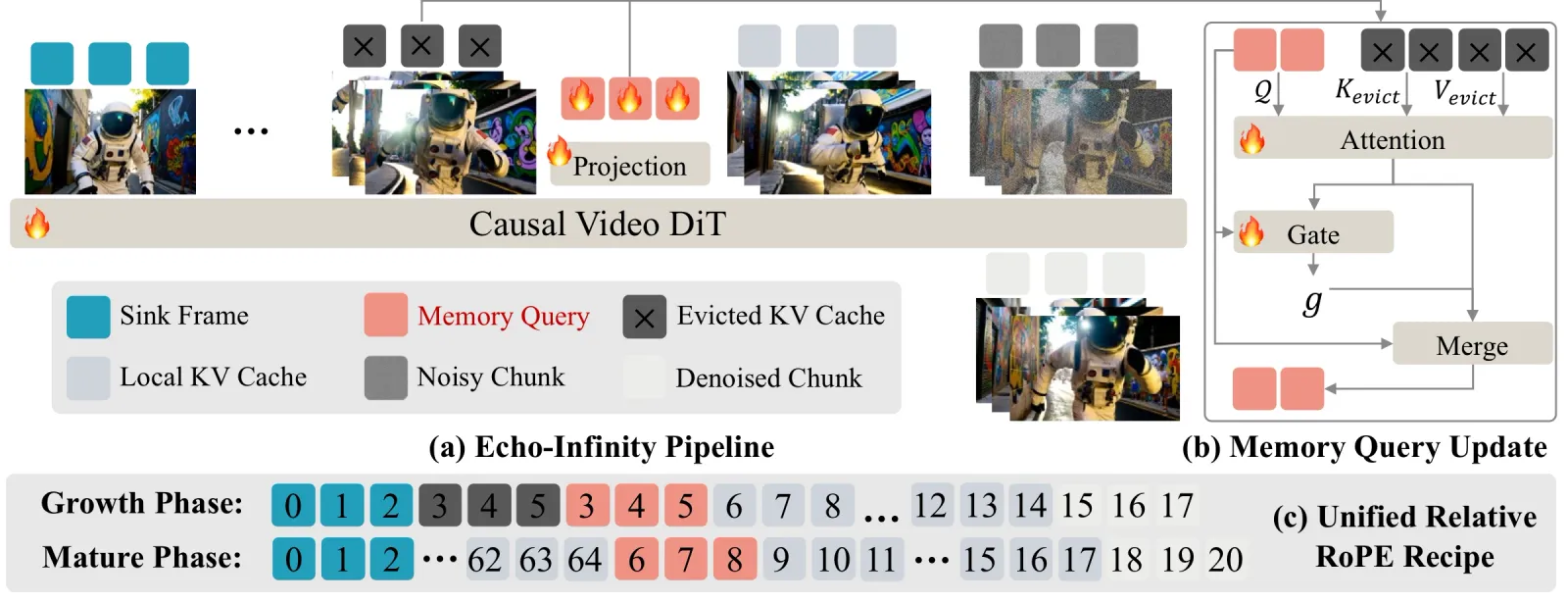 Echo-Infinity:可学习演化记忆,实时无限视频生成