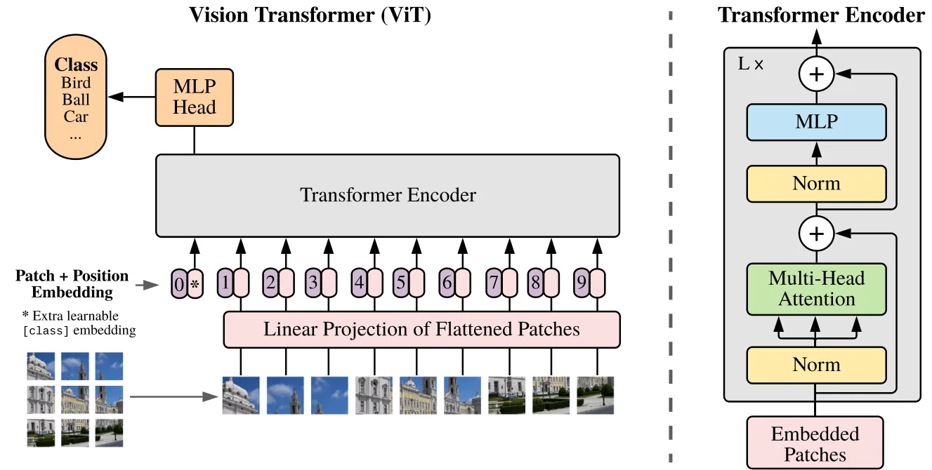 ViT 对比 ResNet:Transformer 什么时候赢卷积